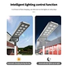 solar induction street lamp
